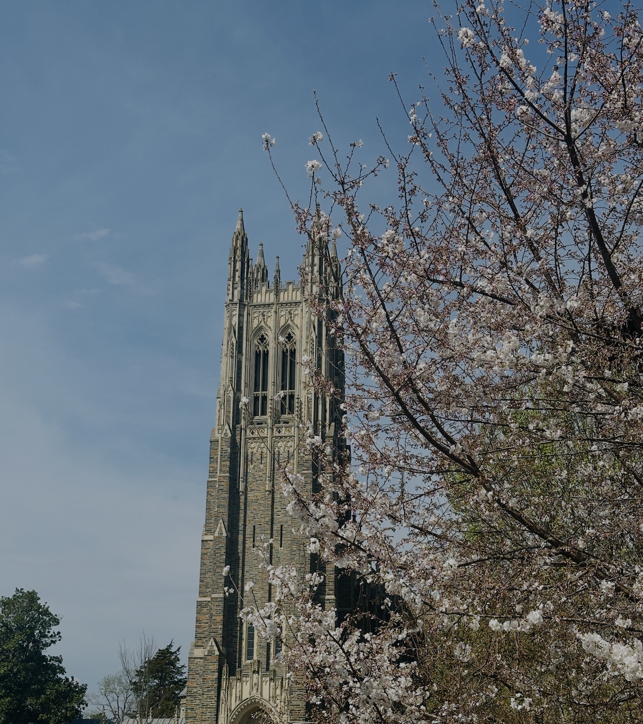 Spring 2026 at Duke